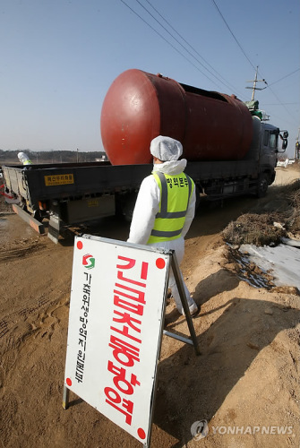 韩京畿道一养猪场出现口蹄疫疫情32头猪被宰杀