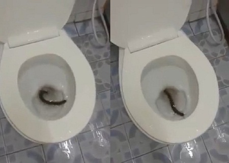 ���סլ��Ͱ���־���������Ѻ������¡���ͼ��