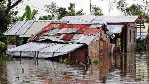 �ȴ��籩��Ǿޱ����ɨ���ɱ����ϲ�����53����