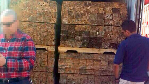 �鶼��˹��񷷶���֯12���˶���װ�䣨��ͼ��