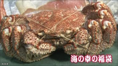日本北海道新年福袋装毛蟹30分钟内被抢购一空