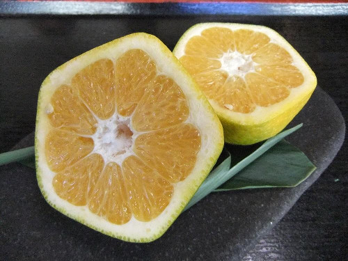 日本考生拜神社追捧五角形柑橘祈愿考试合格(图)
