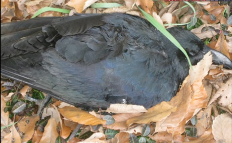 �ձ�����ֻ��ѻ���������о���Ա��ϵ������ͼ��