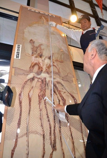 �ձ�չ��4�׳�����������ͨ����10������ͼ��