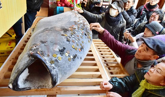 �ձ�һ���繩����ͽ�ǹ���ο�����������Ӳ��