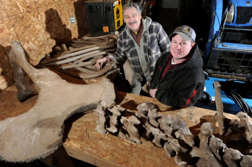 ���������ڼҺ�Ժ�ڳ�����ʱ�������Ǽܣ�ͼ��