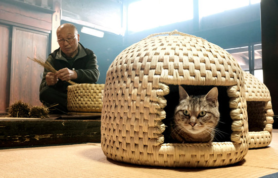 日本流行手工编织“猫窝”售价逾千元人民币(图)