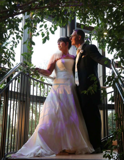 ����Ϊ�����Ƴٻ���11�����100������飨ͼ��