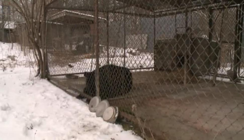 ��Ȧ������30���������ֳ�����֤��ֹ������ͼ��