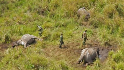 ������֯��������зǴ����������������ͼ��