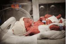 ӡ�ȡ������ˡ�����˫��̥ҽ���Ƽ�Ϊ������ͼ��