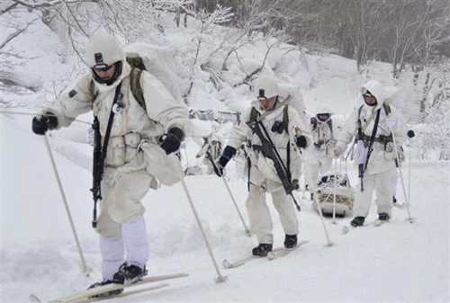 日本陆上自卫队举行严冬传统滑雪演习（图）