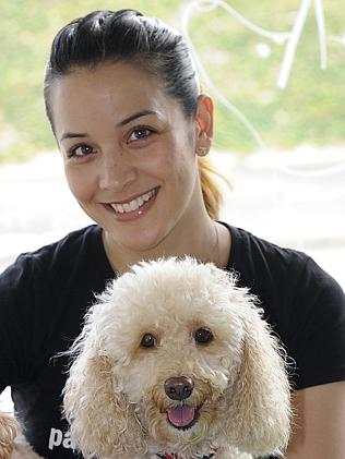 宠物也过情人节:悉尼办狗狗速配冀擦出爱情火花