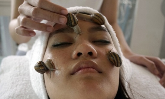 ����ţ���ݡ���̩�о�Ա��̩����ţ����Ч�����