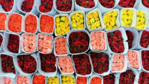 ��ѧ����������鹫ʽ�������Ż���̹��������