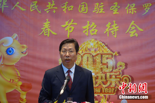 中国驻圣保罗总领事举行羊年春节招待会