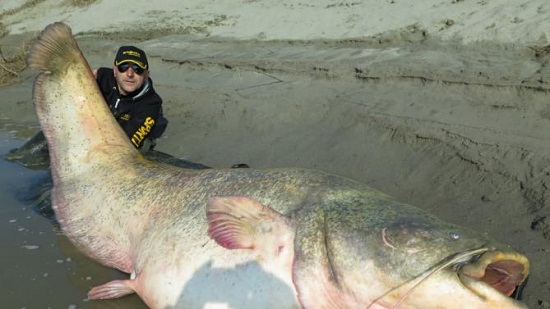 �ֵܵ��Ͼ���������������3����127���ͼ��