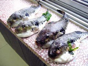 �ձ����˳Ժ����ж�������Ҫ��ʦ׼�����������