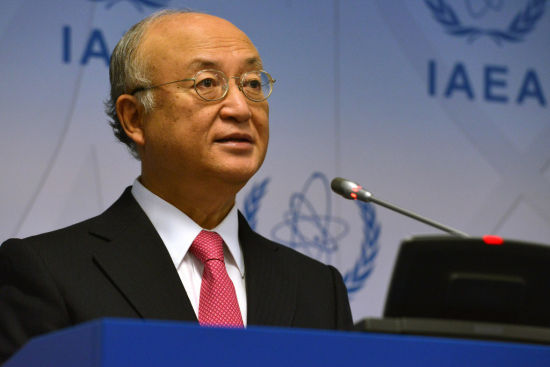 IAEA�ܸ������������к�Э����ʱ�ṩ����Ŀ��Ϣ