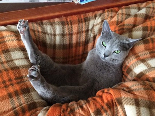 è��չʾ����������ˡ��������ܾ������ˣ�ͼ��