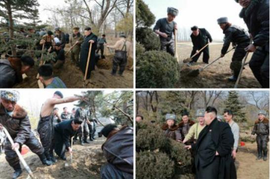 ������ֲ���������ò����ڿӳ��ʹ���480�����