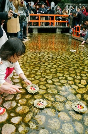 喜迎女孩节京都一神社放浮舟祈祷孩子健康(图)