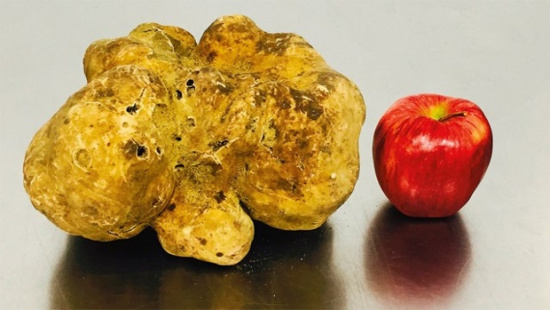 ��������ũ������������¶ϵ���״η��ְ���¶