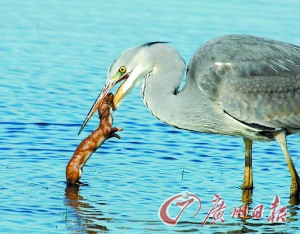 ������͵Ϯ���ط�����������̵�չ����Ȼ�п�