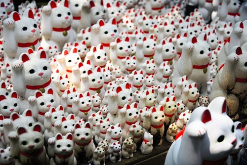 日本寺庙“招福猫”受追捧民众专程来祈福(图)