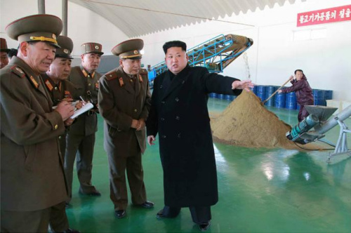 金正恩视察新建鱼饲料工厂笑称丰收心情好