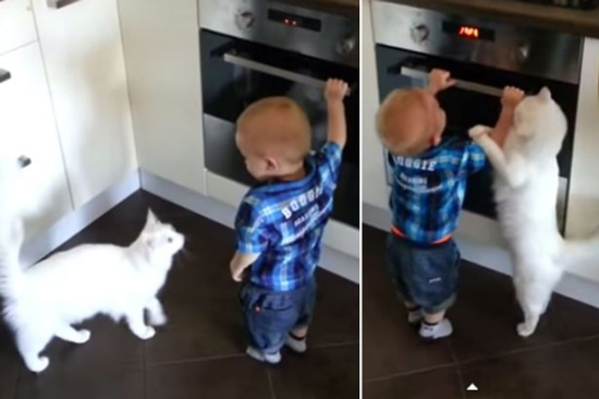 çײ������֪Σ���濾�����ĸè��ǰ���ӣ�ͼ��