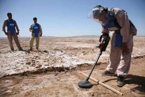 �������װ�������Ŀ��ڽ�����֮һũ�ض��е���