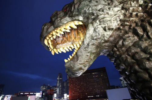 ���޸�˹���ɶ����������δ�ʹ�����������ο�