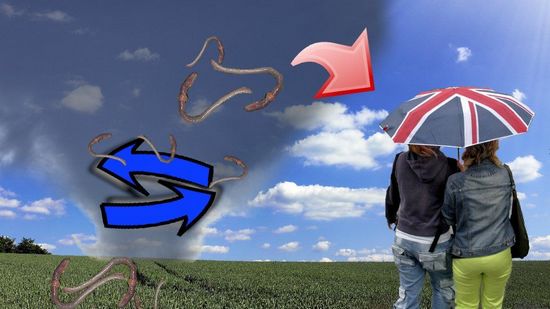 挪威多地突降“蚯蚓雨”数千蚯蚓从天而降(图)