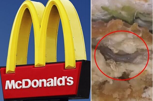美国麦当劳鸡肉三明治中突现蚯蚓吓坏顾客(图)