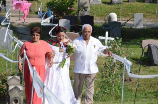 ����һ�������ڰ��깫Ĺ��������Ѿ�����ͼ��