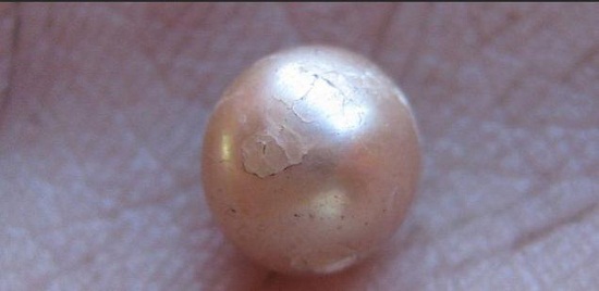 ���޷��ֺ�����Ȼ����ʷ�ɫ��2000����ʷ��ͼ��