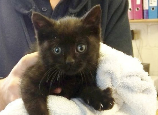 ��������Сè��������ֽ���������������