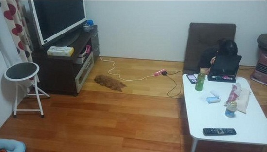 ���ѷ�����������Ƭ�ߺ죺��һ��Ĩ��̯���ϣ�ͼ��