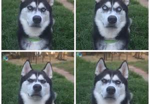 �������ɱ���㣺��һ������۹�ʿ�浮����ͼ��