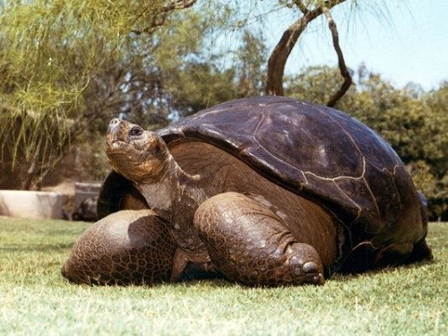 ����150��޹걻ִ�а�������90�������ͼ��