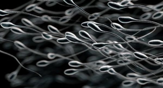 Ӣ������ѧ�ҽ�������18����䶳�����б��޻�