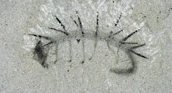 ��ѧ�ҽ���ʷǰ���ֵ���С�湹�죺ͷ��ͷ�ŷǽ�