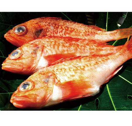 �ձ�һ������������ˮ��������ϵˮٶ��������