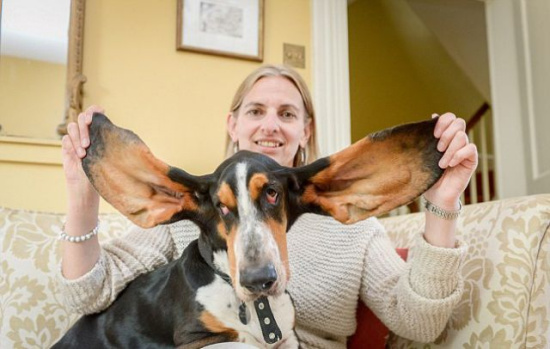 ������Ǹ�������׹¥ˤ������������һ����ͼ��