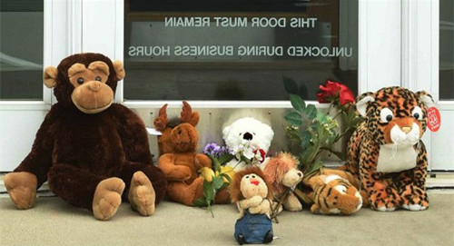 �����ο���ɱ��Ͳ�Τ��ʨ���������������ڷ�ŭ