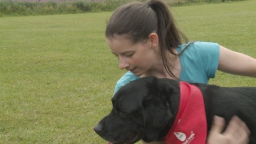 ����Ѫ�������ˣ������Ѫ26�ξ�104ֻͬ�飨ͼ��