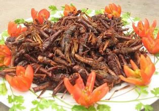 �⼢�ֻ�������������Ƹ��������������ϲ���