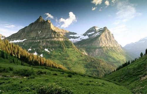 韩林业专家从朝回国:朝鲜松树确有异常但可恢复