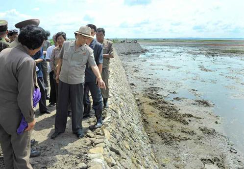朝媒:暴雨海啸袭朝鲜局地农田被淹“几乎绝收”